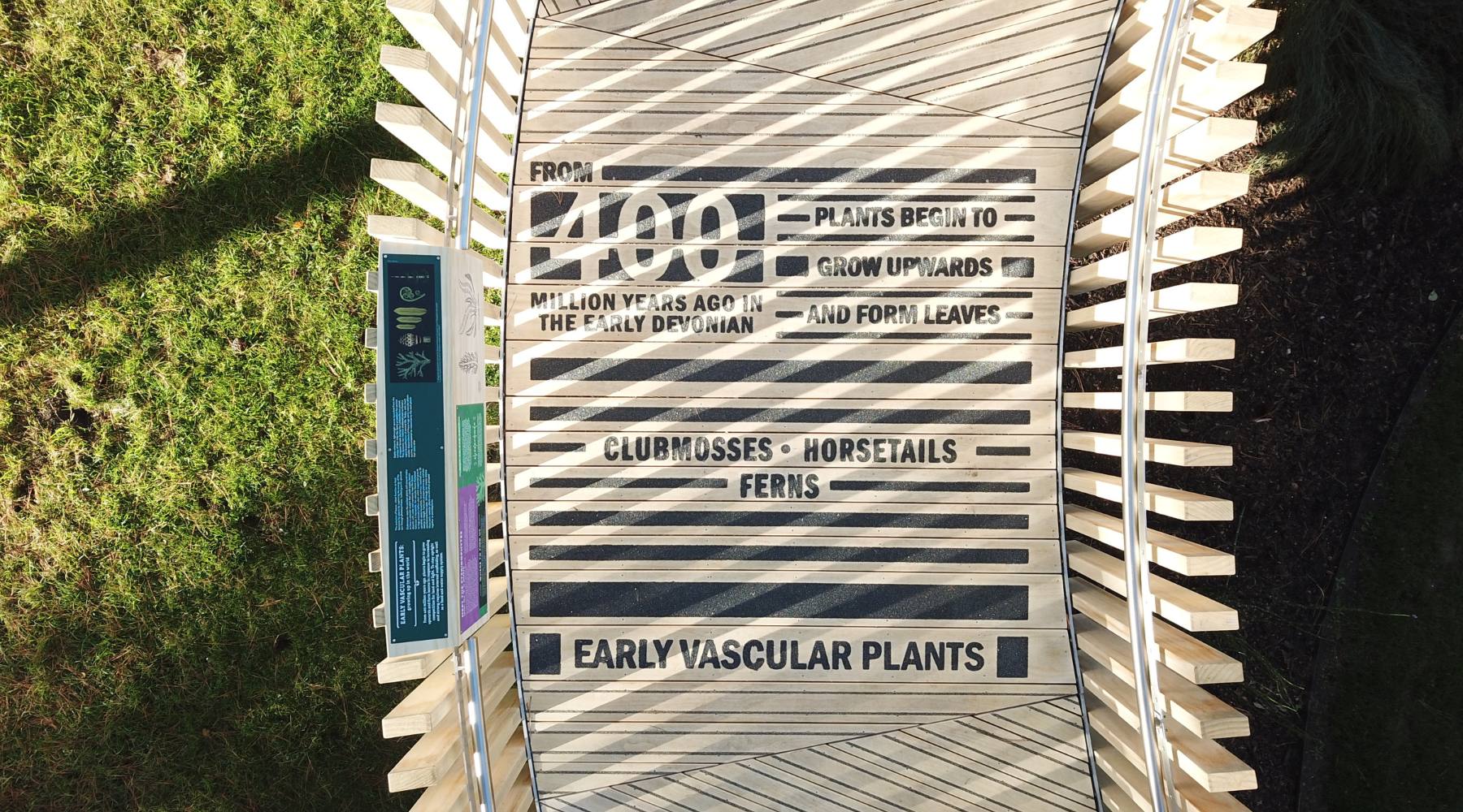 Machen Sie sich im Botanischen Garten der Universität Cambridge mit der Pflanzentaxonomie vertraut