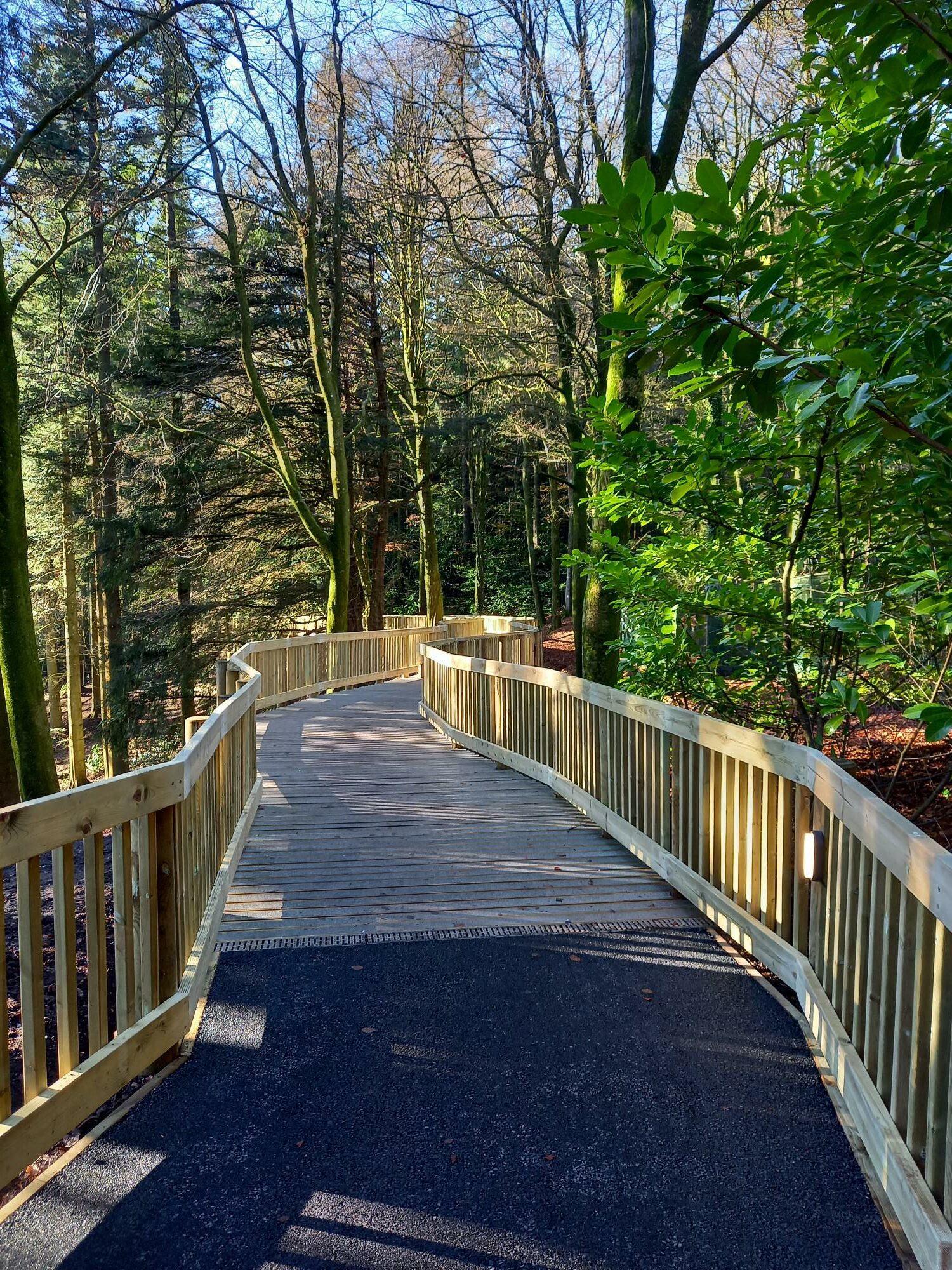 Non-slip timber decking boardwalk at Center Parcs Longleat Forest