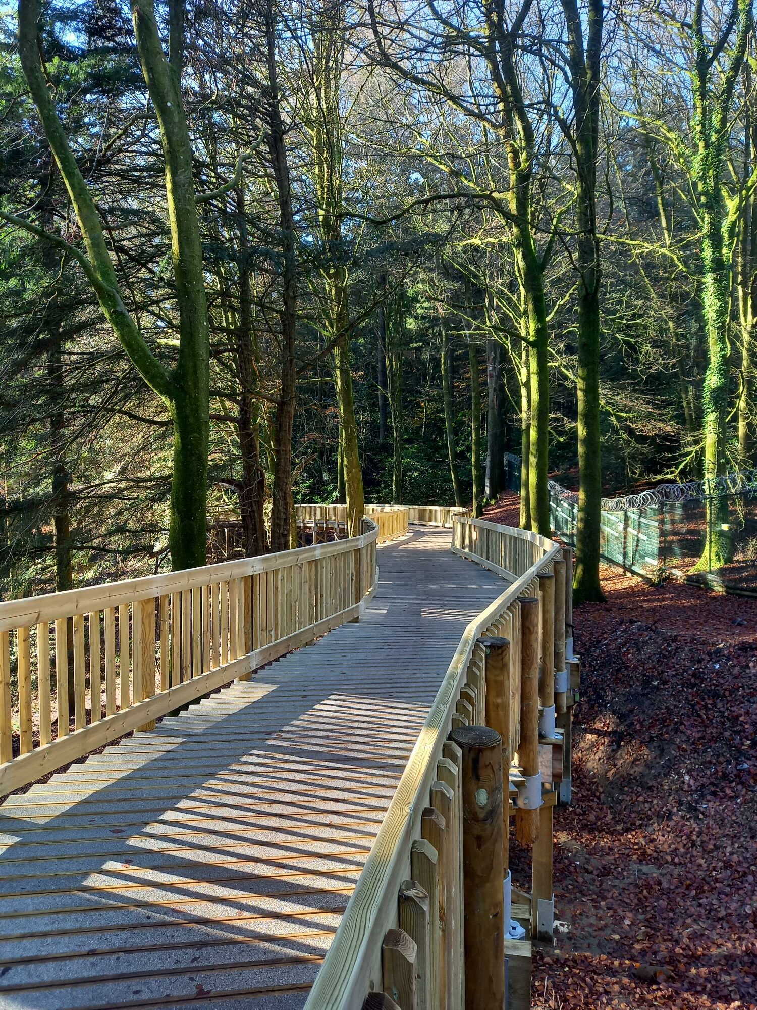 Non-slip timber decking boardwalk at Center Parcs Longleat Forest