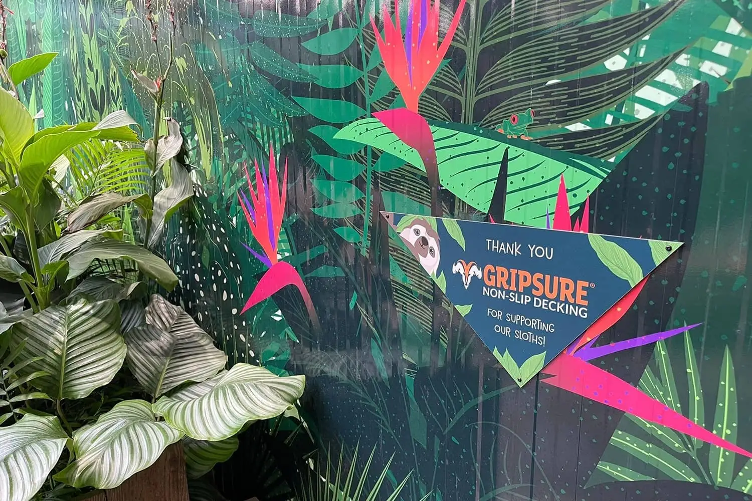 Die Unterstützung von Gripsure trägt dazu bei, im Edinburgh Zoo ein Zuhause für Faultiere zu schaffen